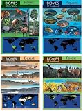 HABITAT BULLETIN BOARD SET
