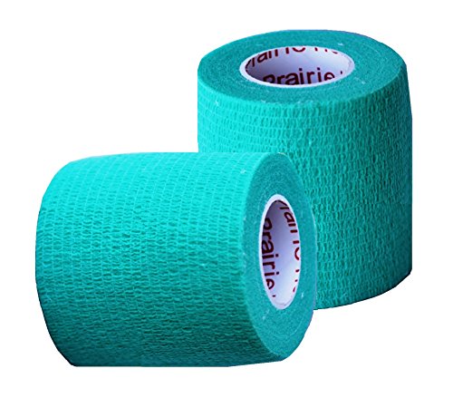 Prairie Horse Supply Self Adherent Tape, 2 inch wide x 5 Yards, Teal