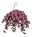 House of Silk Flowers Artificial Orchid/Pink Bougainvillea Hanging Basket