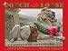 Books : Pooch on the Loose: A Christmas Adventure