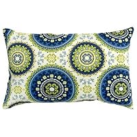 Rectangular Outdoor Accent Pillows Color: Summer