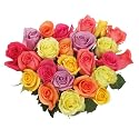 24 Stems Rainbow Roses