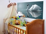 Swan Reflections - Peel and Stick Wall Decal by Wallmonkeys