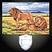 Kenyan Lions Decorative Night Light
