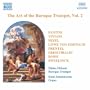 Art of the Baroque Trumpet, Vol 2