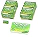 Dentyne Pure Mints with Melon Accents Artificially Flavored Sugar Free Chewing Gum - 20 Pack of 9 Pieces Each (180 Pieces Total)