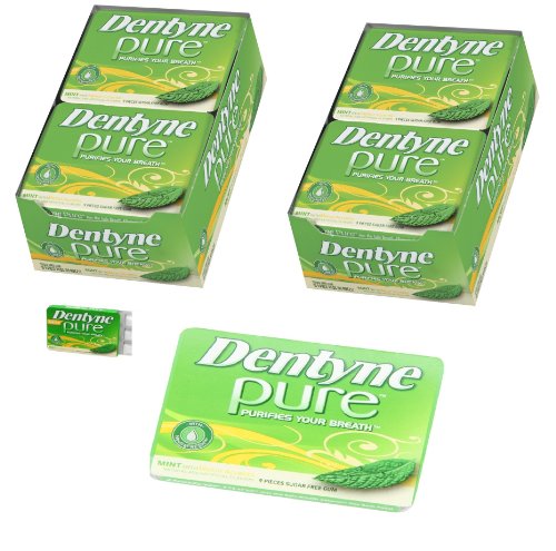 Dentyne Pure Mints with Melon Accents Artificially Flavored Sugar Free Chewing Gum - 20 Pack of 9 Pieces Each (180 Pieces Total)