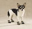 GREEN - SMALL - Camo Oxford Dog Boots