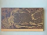 Twenty-four nudes : linocuts