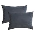Home Plush Toss Pillow 2-pack Blue