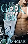 The Geek Job