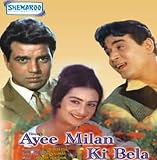 Ayee Milan Ki Bela (1964) (Hindi Classic Film / Bollywood Movie / Indian Cinema DVD)