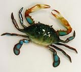 Large Replica Chesapeake Bay Blue Crab Wall Decor