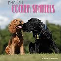 English Cocker Spaniels 2008 Wall Calendar