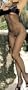 Open Bust and Open Crotch Seamless Fishnet Bodystocking