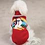 Zack & Zoey Skiing Snowman Sweater Xxsm