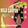 18 Guitar Tracks