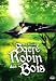 Sacre robin des bois [Edizione: Francia]