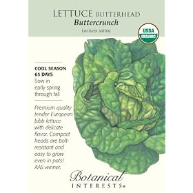 Butterhead Buttercrunch Lettuce Seeds Certified Organic 1000 Seeds