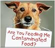 Dog Food - Lifes Abundance Premium Health Food for Dogs & Puppies - Sample Pack
