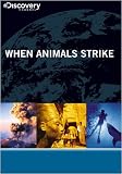 When Animals Strike