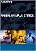When Animals Strike