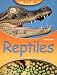 Science Kids Reptiles