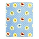 Sesame Street Microfiber Throw Blanket