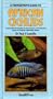 Fishkeeper's Guide to African Cichlids: A Splendid Introduction to This Diverse and Attractive Group of Tropical Freshwater Fishes