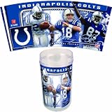 Indianapolis Colts Tumblers (4 Pack)