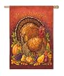 Happy Thanksgiving Turkey Silk Reflections Regular Size Flag