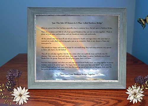 Rainbow Bridge Sympathy Photo Gift For Pet Loss Customization Available