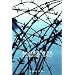 Barbed Wire: A Political History