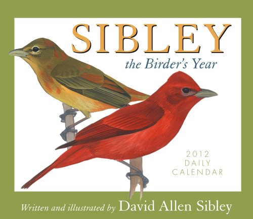 Sibley: The Birders Year Box/Daily (calendar)