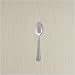LANDMARK PLATINUM FROSTED TEASPOON PS