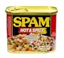 SPAM Hot & Spicy, 12-Ounce Units (Pack of 6)