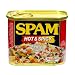 SPAM Hot & Spicy, 12-Ounce Units (Pack of 6)
