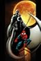 Ultimate Spider-Man Vol. 14: Warriors