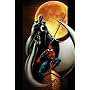 Warriors: 14 (Ultimate Spider-Man)