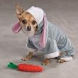 Zack & Zoey Bunny Rabbit Costume