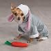 Zack & Zoey Bunny Rabbit Costume