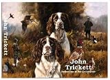 John Trickett, reflections of the countryside : the work of John Trickett