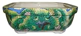 Chinese hand painted double walled porcelain bonsai planter pot - traditional cabbage leaf design