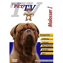 Molosser I (Bordeaux-Dogge, Mastiff, Bullmastiff, Mastino Napoletano)