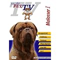 Molosser I (Bordeaux-Dogge, Mastiff, Bullmastiff, Mastino Napoletano)