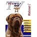 Molosser I (Bordeaux-Dogge, Mastiff, Bullmastiff, Mastino Napoletano)