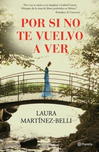 Por si no te vuelvo a ver/ If I Never See You Again (Spanish Edition)