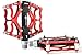 RockBros Bike Pedals Cycling Sealed Bearing Pedals (Red)
