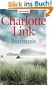 Sturmzeit: Roman