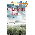 Sturmzeit: Roman